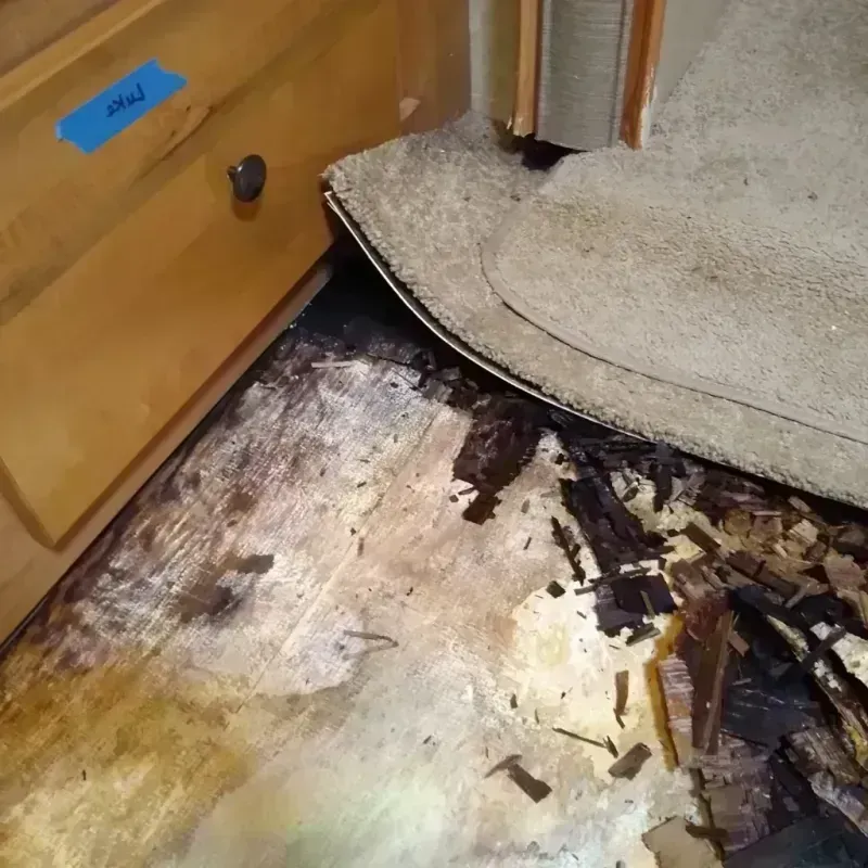 Best Wood Floor Water Damage Service in Bayshore, NC